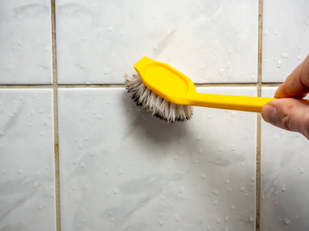 Best Certified Mold Removal  in Rosedale, MS