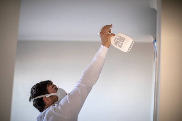 Best Mold Removal Near Me  in Rosedale, MS