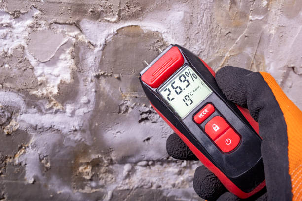 Crawl Space Mold Removal in Rosedale, MS