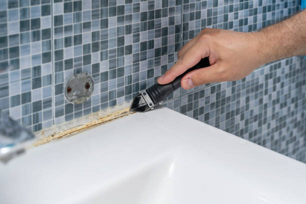 Mold Removal Process in Rosedale, MS