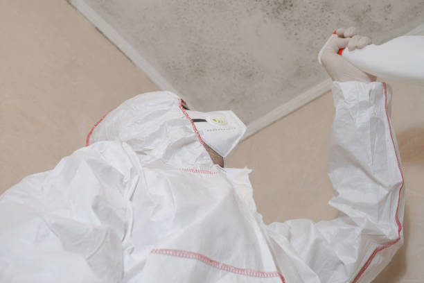 Water Damage Restoration in Rosedale, MS