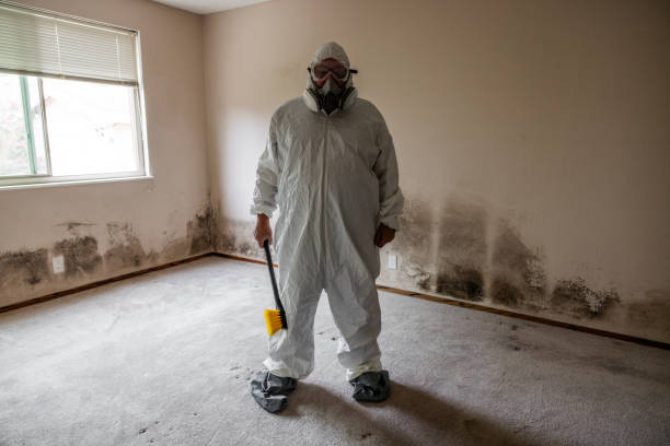 Best Residential Mold Removal  in Rosedale, MS